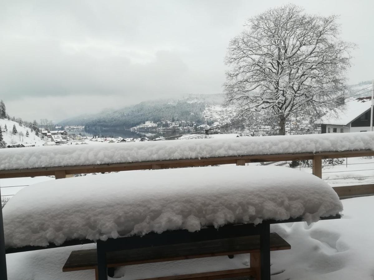 L'Edelweiss Villa Gerardmer Exterior photo